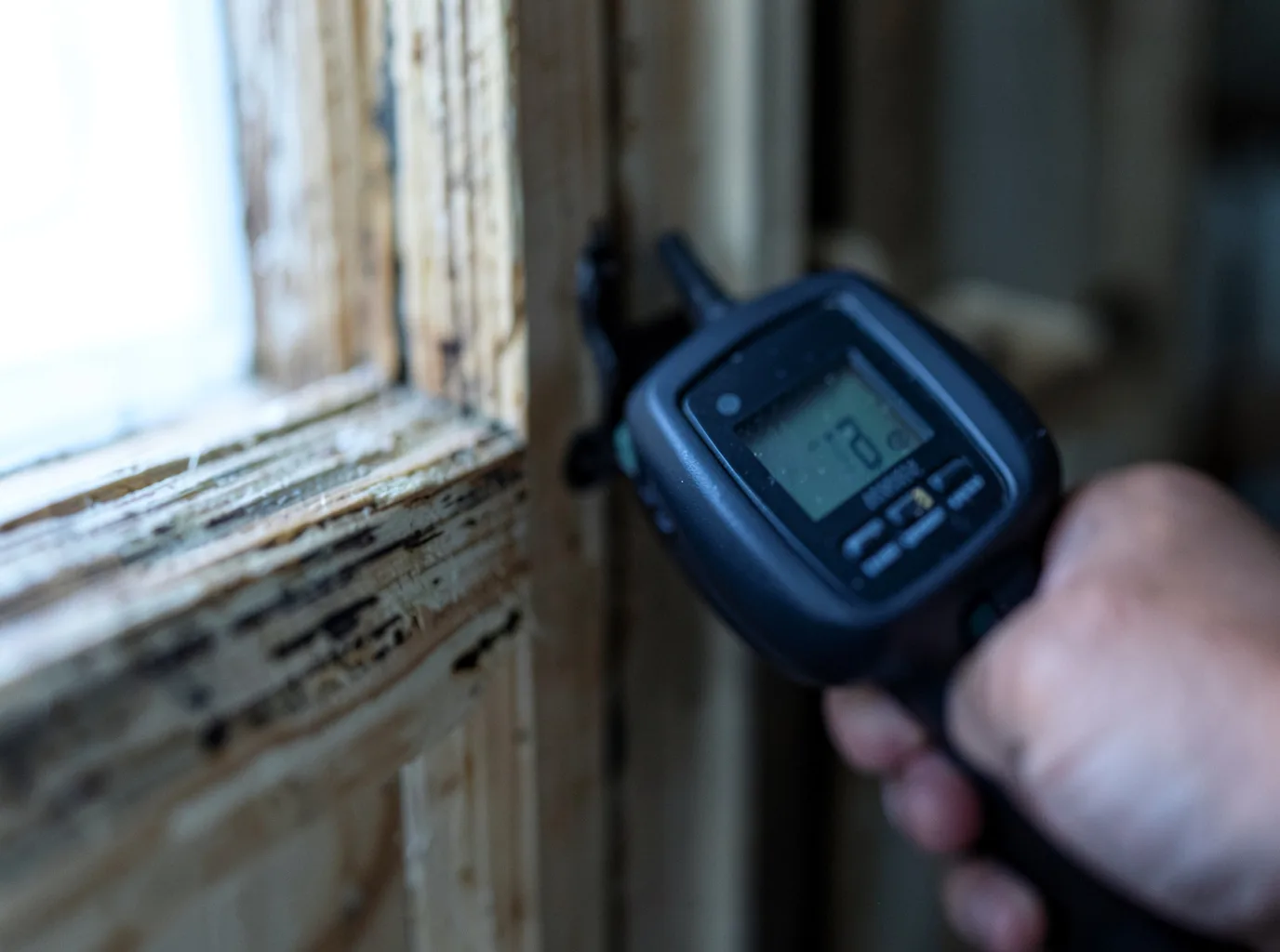 Moisture Inspection And Documentation in Racine, MO